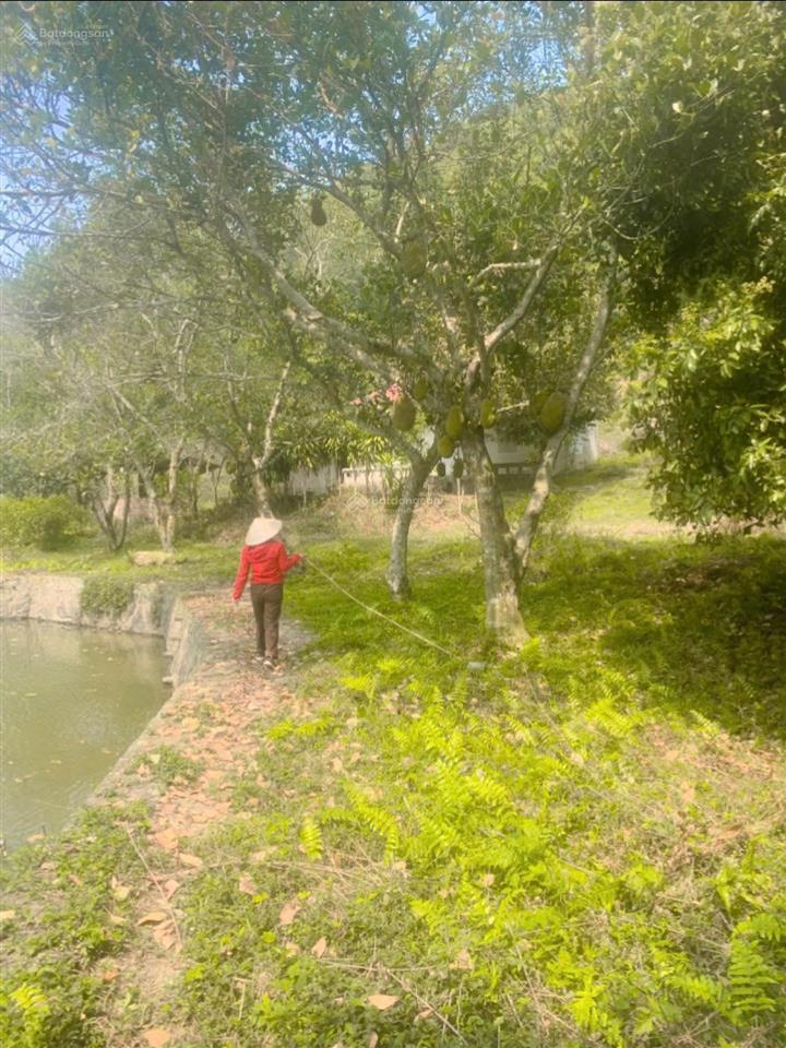 Bán hơn 4,5ha đất đẹp view toàn cảnh hồ đồng đò, sóc sơn, dành cho nhà đầu tư có tầm