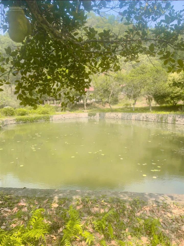 Bán hơn 4,5ha đất đẹp view toàn cảnh hồ đồng đò, sóc sơn, dành cho nhà đầu tư có tầm