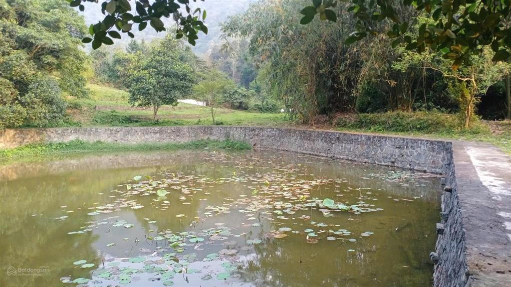 Bán hơn 4,5ha đất đẹp view toàn cảnh hồ đồng đò, sóc sơn, dành cho nhà đầu tư có tầm