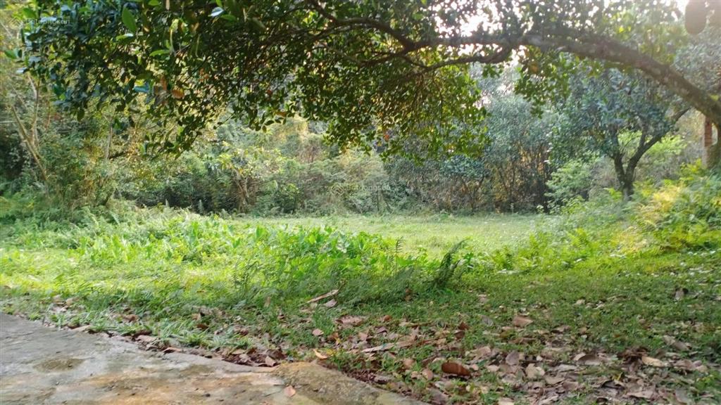 Bán hơn 4,5ha đất đẹp view toàn cảnh hồ đồng đò, sóc sơn, dành cho nhà đầu tư có tầm