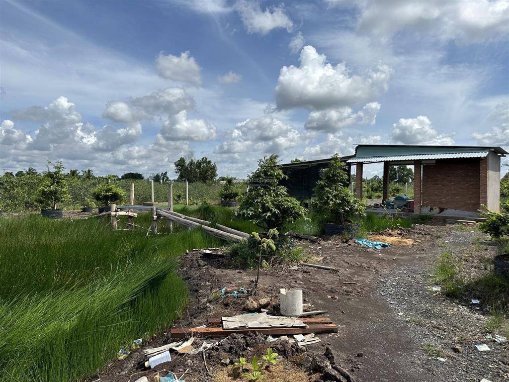 Bán nhà vườn tại đường 816, bến lức, long an, giá 6,3 tỷ, diện tích 2700 m2 , có 300m2 đất ở