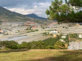 Sở hữu nhang tay lô đất view hồ tại lạc dương  phường langbiang  đà lạt (mới)