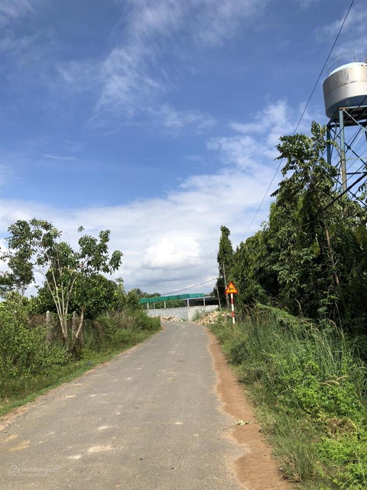 Bán đất sào tại an cơ, châu thành, tây ninh gần đường nhựa với giá chỉ 180 triệu, rẻ quá rẻ