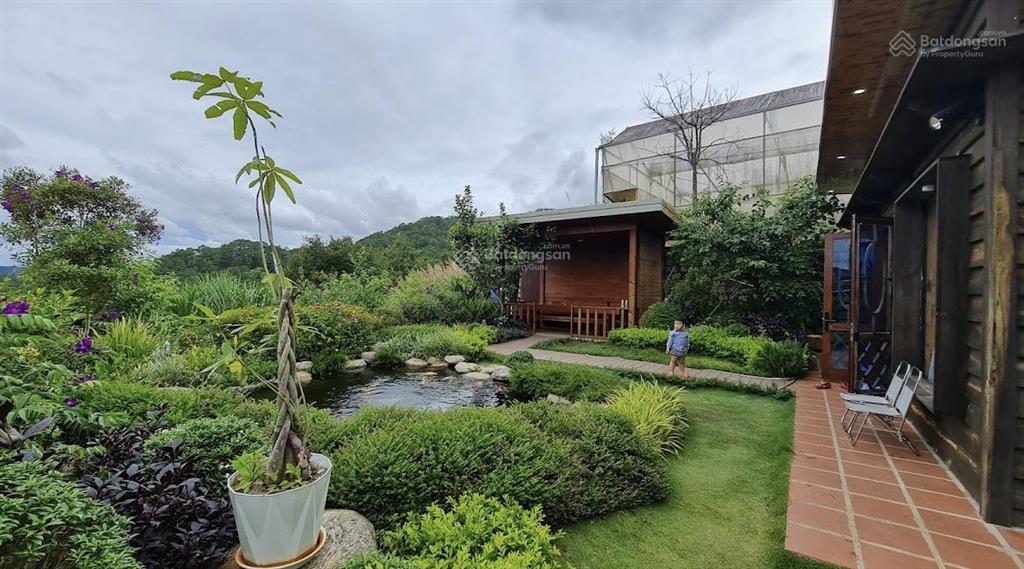 Giảm ngay 200tr khách thiện chí, bán căn nhà 500m2 có sân vườn view rừng thông, săn mây trung tâm