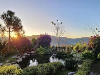 Giảm ngay 200tr khách thiện chí, bán căn nhà 500m2 có sân vườn view rừng thông , săn mây trung tâm