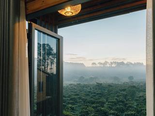 Lô đất 2100m2/400 triệu view rừng thông, suối tự nhiên phía sau, gần ngay các resort lớn