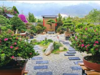 Cần bán gấp căn farmstay 1500m2/1,2 tỷ trung tâm đà lạt , có sẳn nhà 2pn, sân vườn. dọn vào ở ngay.