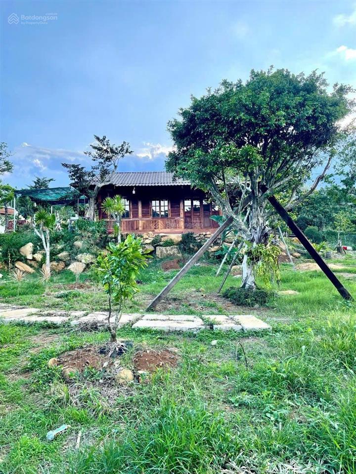 Bán gấp căn nhà vườn 3500m2/1,1 tỷ giá chủ nhà đang cắt lổ 60%, trên đất có nhà, sân vườn, ao