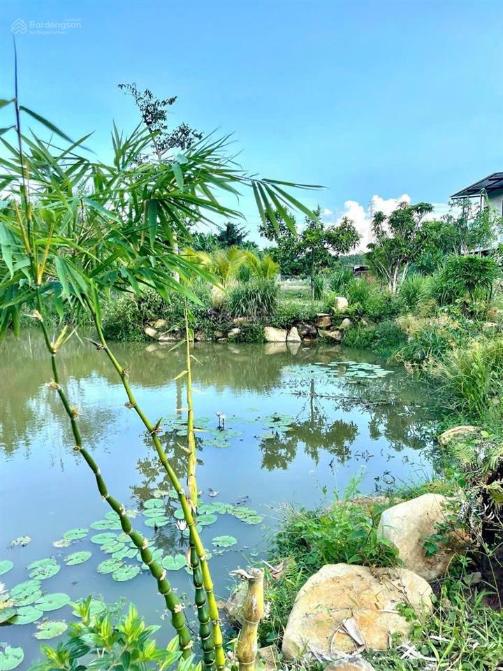 Bán gấp căn nhà vườn 3500m2/1,1 tỷ giá chủ nhà đang cắt lổ 60%, trên đất có nhà, sân vườn, ao