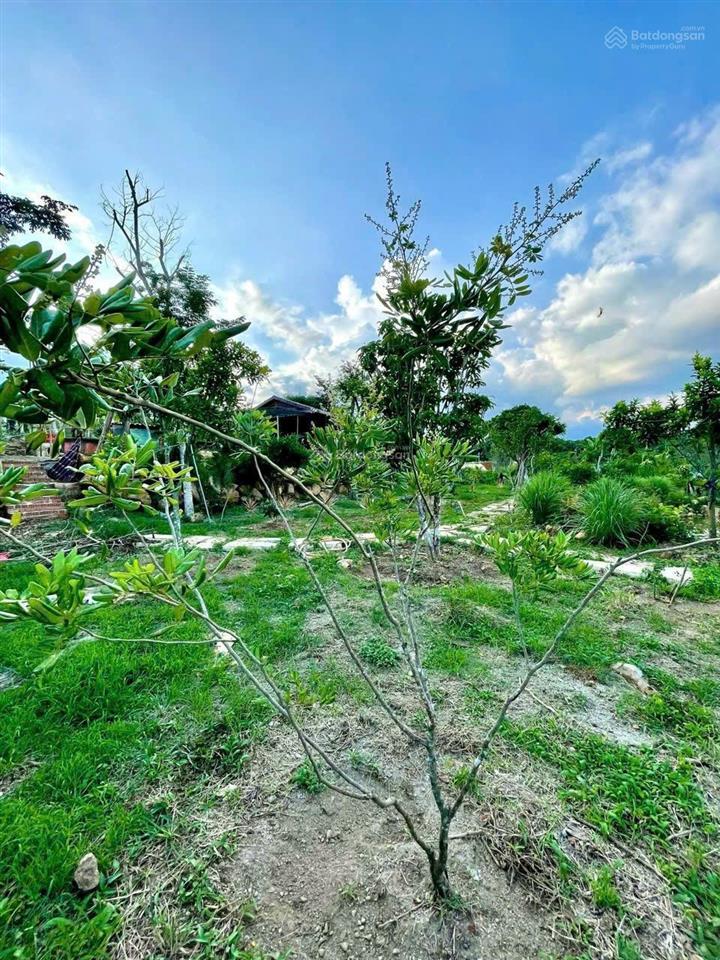 Bán gấp căn nhà vườn 3500m2/1,1 tỷ giá chủ nhà đang cắt lổ 60%, trên đất có nhà, sân vườn, ao