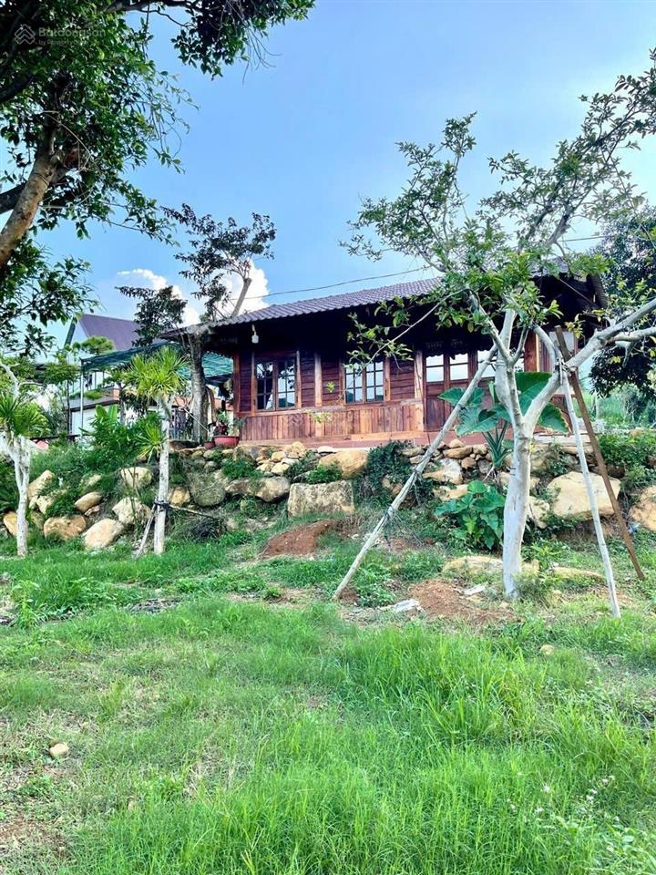 Bán gấp căn nhà vườn 3500m2/1,1 tỷ giá chủ nhà đang cắt lổ 60%, trên đất có nhà, sân vườn, ao