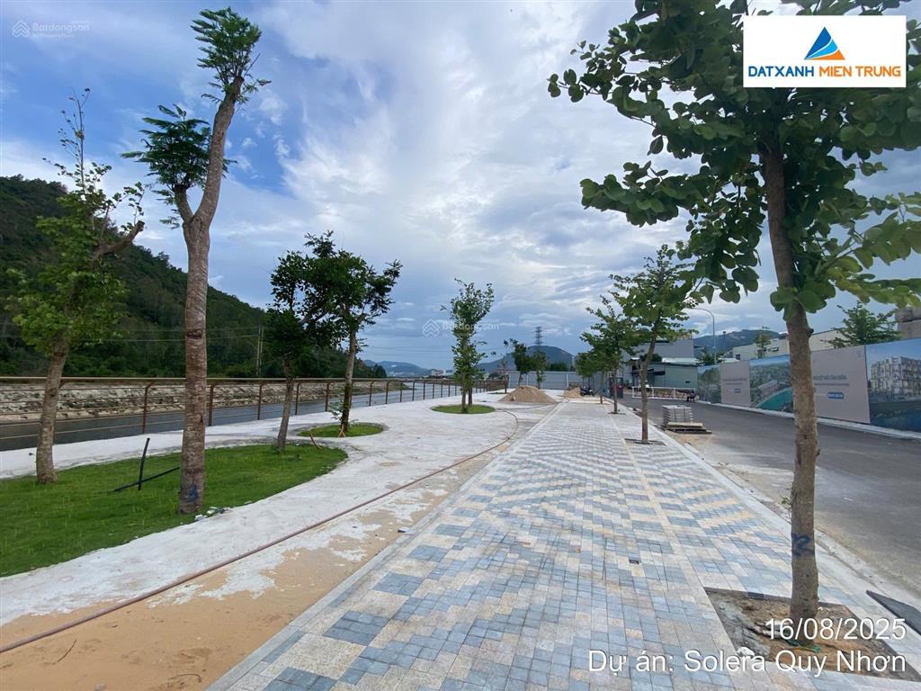 Độc quyền giỏ hàng 6 căn liền kề view công viên dự án solera quy nhơn