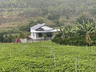 Bán nhà sân vườn  không gian sống xanh. giá cực kỳ tốt.