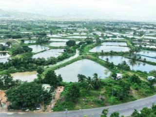 Siêu bom tấn chính thức lộ diện 10 lô đẹp sát rạt vin cam ranh! cơ hội bạch kim có thật