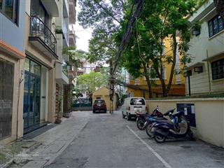Bán nhà ngõ ô tô phố đội cấn liễu giai
