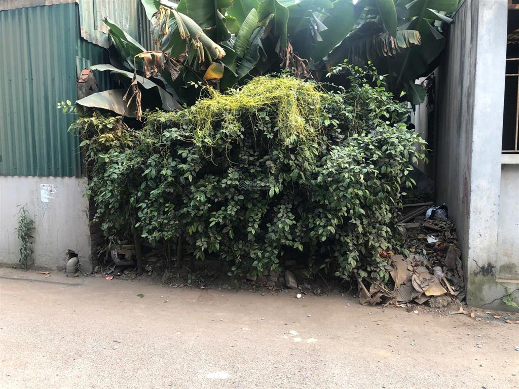 Bán đất tại yên mỹ, thanh trì, hà nội, 8,5 tỷ, 60 m2, mặt tiền 4m, view đẹp