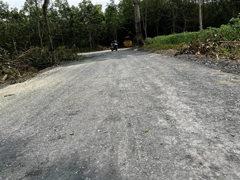 Chính chủ bán 5 lô đất từ 1001m2, 1007,9m2 vị trí đẹp ấp thạnh phú, xã tân hiệp mới, tân châu