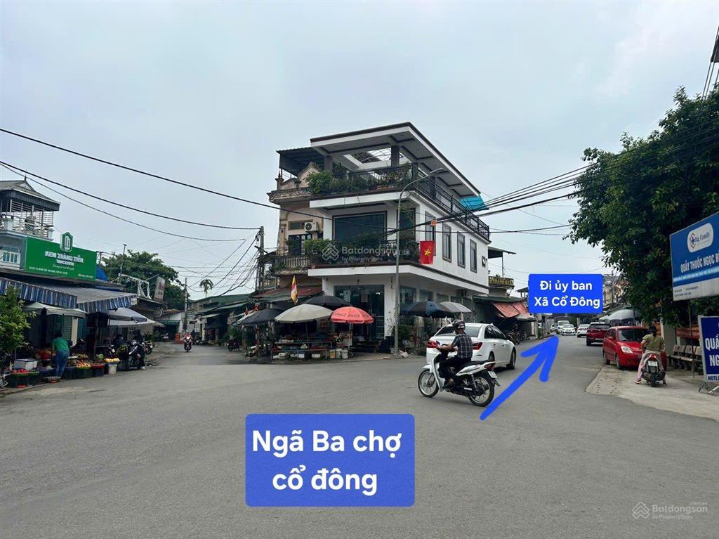 Chính chủ cắt lỗ 500 tr lô đất 100m2, sổ đỏ, cổ đông hòa lạc, ngay sát ủy ban xã, chợ, trường học