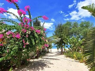 Hiếm bán lô đất mặt biển  đường lạc long quân  xã tiến thành  phan thiết
