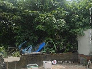 45m2 đất dịch vụ phú vinh. mt 4.31m hướng nam nở hậu. đường oto tránh. sẵn sổ đỏ. giá tốt nhất