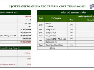 Sở hữu nhà phố liền kề lk1124 thanh toán đến nhận nhà chỉ 50% dt 244m2 giá 37 tỷ 8 nhà 2 mặt tiền