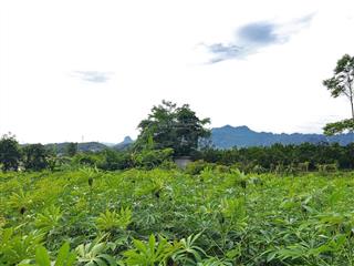 Đất đẹp 2 mặt tiền mãn đức 1tr/m có sổ!