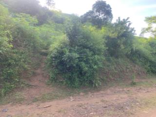 Đất nghỉ dưỡng view thoáng 5.000m2, cách hà nội 80km