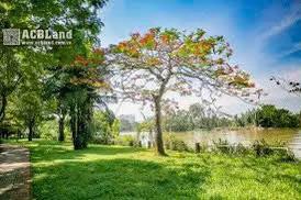 Bán lô đất nền nhà phố, bt kdc sadeco ven sông quận 7  dt 5x18m, giá 14,5 tỷ tl