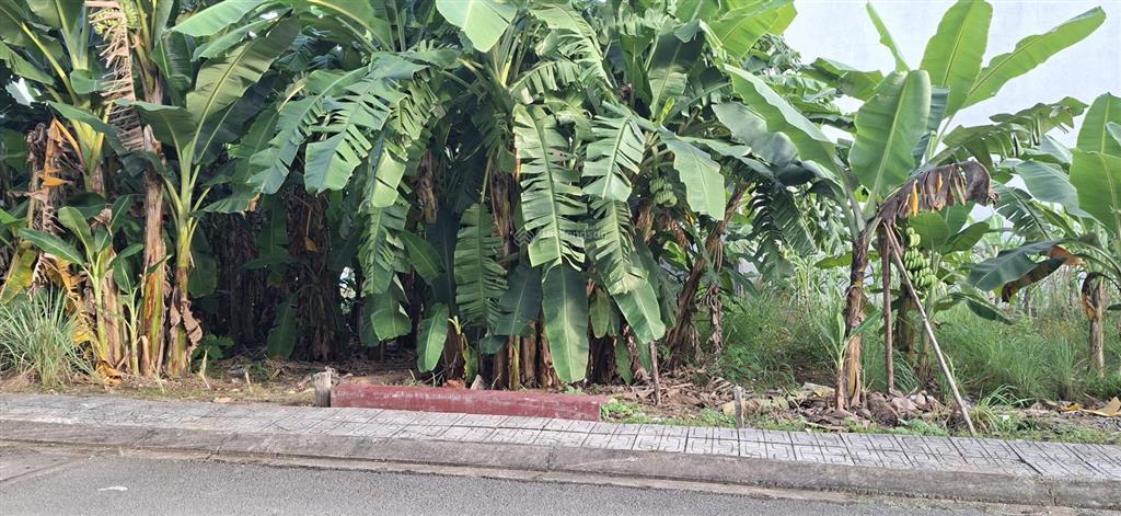 Cần bán lô đất tại đường 12 tam đa , p trường thạnh q9 52m2 giá 3.3 tỷ