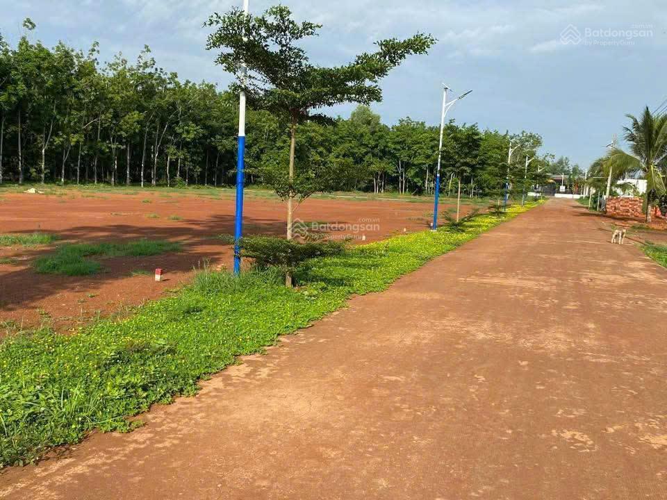 Bán gấp đất nền 200m2, 100m2 thổ cư  335 triệu tại long hà, đồng nai!