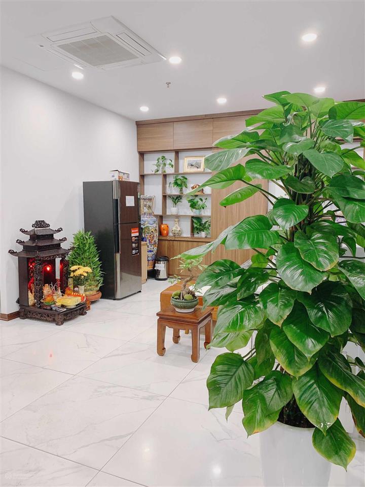 Cho thuê văn phòng trọn gói giá siêu rẻ  đường dương đình nghệ, vp mới tinh, ngoài giờ free 24/24