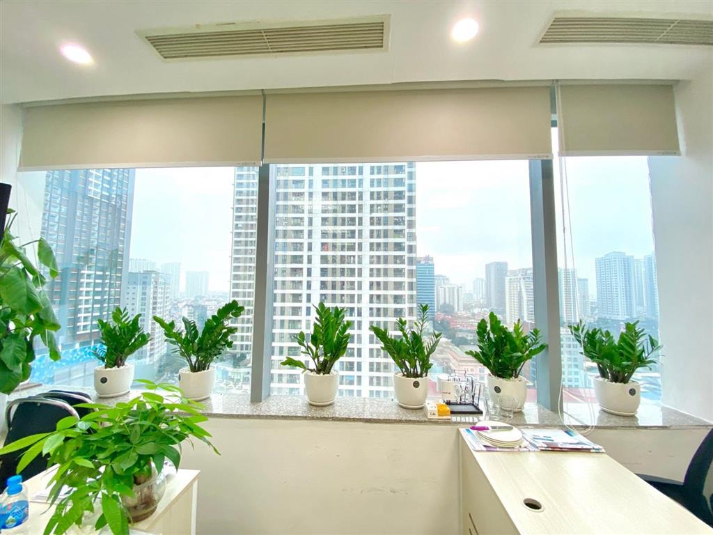 Cho thuê văn phòng dịch vụ trọn gói  tòa nhà diamond flower  ngã tư lê văn lương  hoàng đạo thúy