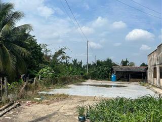 Đất thổ mt tl 833 lạc tấn, tân trụ, long an dt 8x42m, hậu 12m, thổ 100%.  0919 541 *** phát