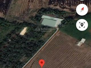 Đất lúa giá rẻ hướng thọ phú, tân an 47x51m, đường xe tải, giá 2,1 tỷ