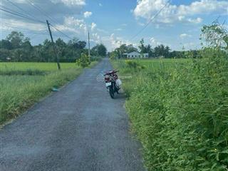 Đất vườn giá rẻ ấp trung lợi, chợ gạo, tiền giang giá 520tr  0919 541 *** phát