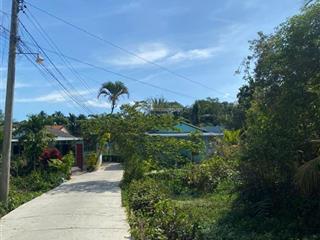 Đất thổ nguyễn văn nhâm, p5, tân an, long an dt 113,5m2 hướng tây bắc giá 750tr