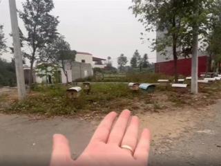 Lô góc đẹp nhất khu tái định cư đại học quốc gia  anh chị chốt ngay kẻo lỡ cơ hội ạ!