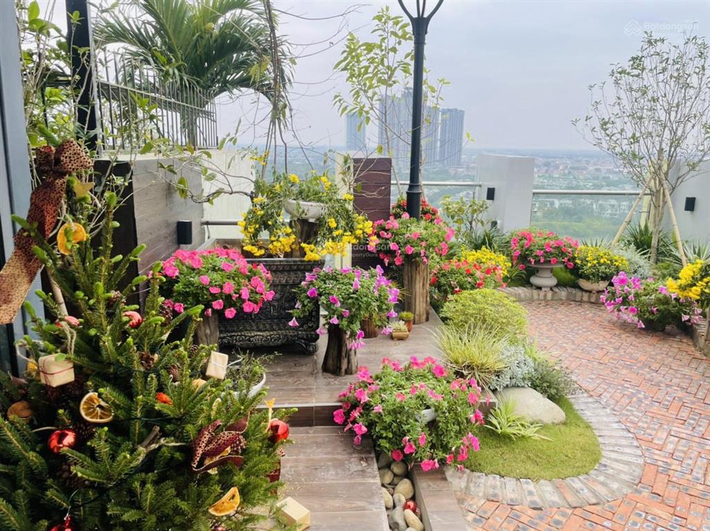Chính chủ cần bán siêu phẩm penhouse diện tích rộng khu rừng cọ