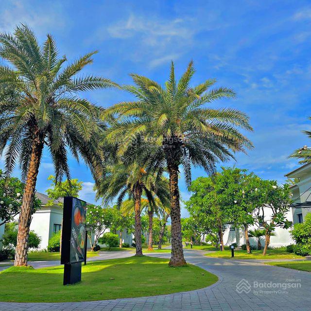 Bán biệt thự vinpearl premium đà nẵng, sổ hồng lâu dài giá cực chất 45 tỷ, 1000m2