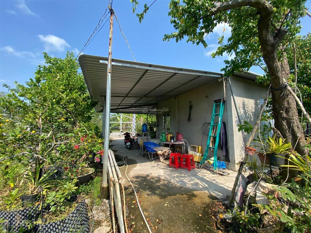 Chính chủ bán đất vườn sầu riêng blackthorn 13.000m2 mỹ hiệp, cao lãnh, đồng tháp
