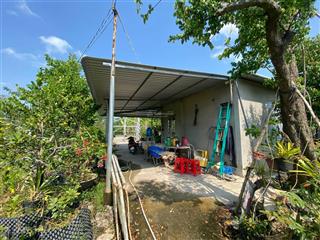 Chính chủ bán đất vườn sầu riêng blackthorn 13.000m2 mỹ hiệp, cao lãnh, đồng tháp