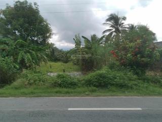 Giá 3tỷ diện tích 536m2 thổ 50m2, đất mặt tiền quốc lộ 1a ninh an ninh hoà