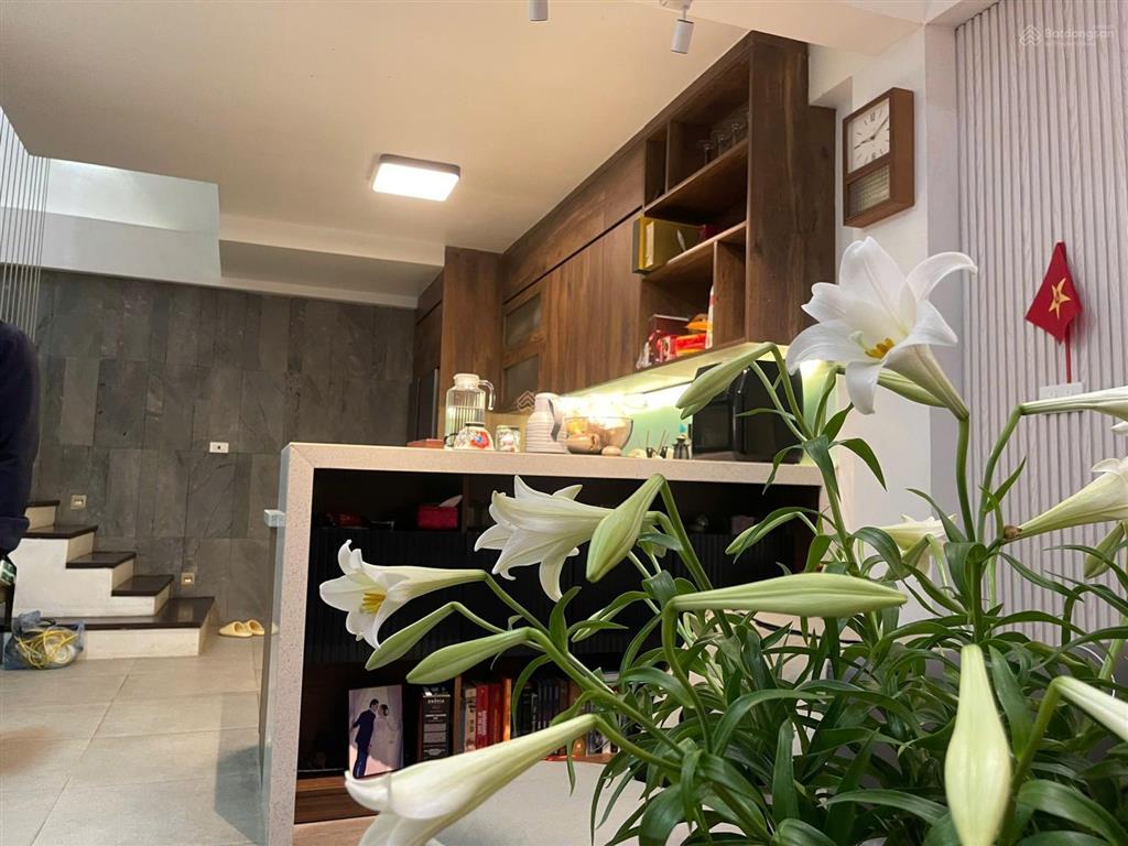Bán nhà riêng tại ngọc khánh, ba đình, cách ô tô 30m, dt 65m2, view đẹp, giá tốt chỉ 13.8 tỷ