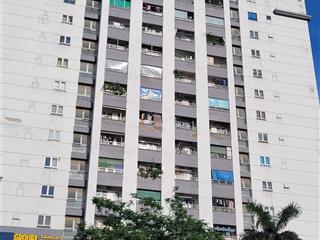 Bán gấp căn cc tầng trung tại tòa 187 tây sơn, căn hộ với dt 100m2 3 ngủ, 2wc giá 7.3 tỷ