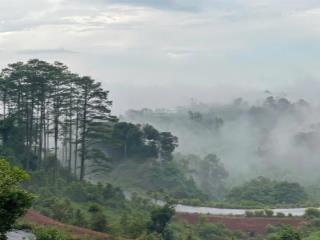 Lô đất hiếm tại trung tâm măng đen