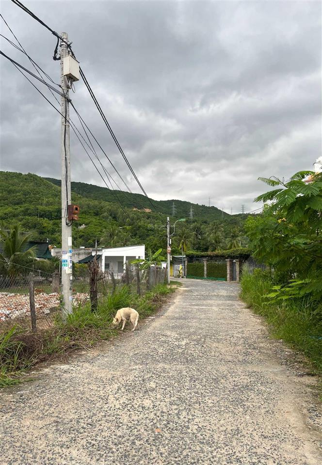 Bán đất mặt tiền nha trang gần khu du lịch long phú, đảo khỉ 5tr/m2