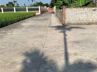 Bán gấp đất nền 73.9m2 tại xã bát trang, an lão, hải phòng, 650 triệu vnd