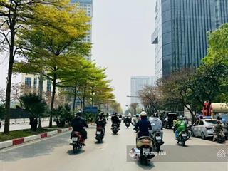 Bán nhà riêng dịch vọng cầu giấy 83m  mt 10m  lô góc  ô tô  kdvp vỉa hè rộng