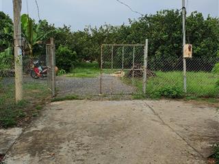 Bán đất trồng cây ăn quả tại huyện thống nhất, đồng nai