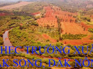12 hecta đất nông nghiệp, giáp suối. gần dân. cách quốc lộ 14 3km